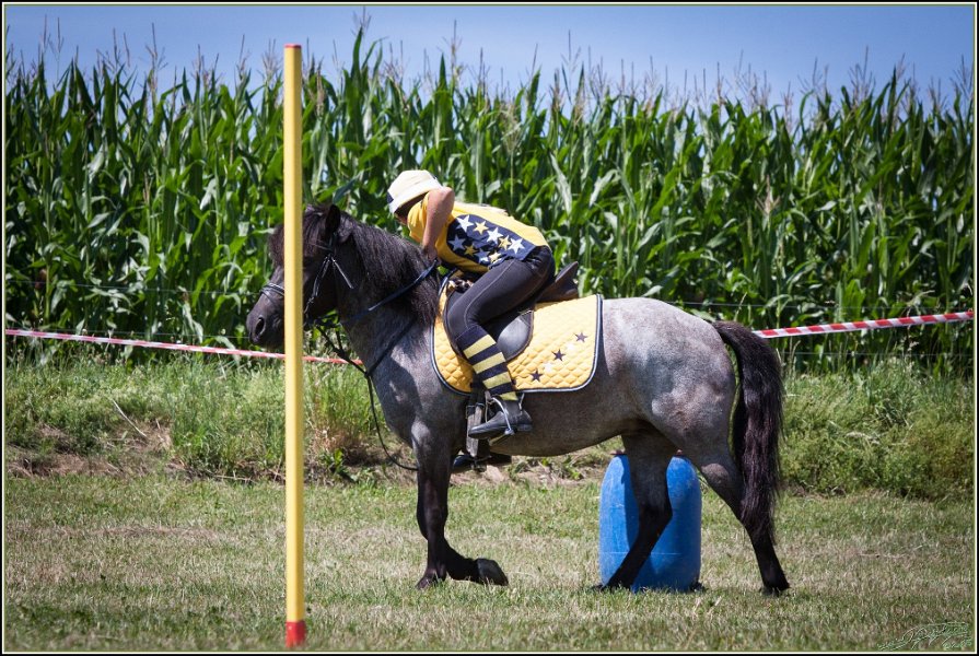 Mounted Games 177